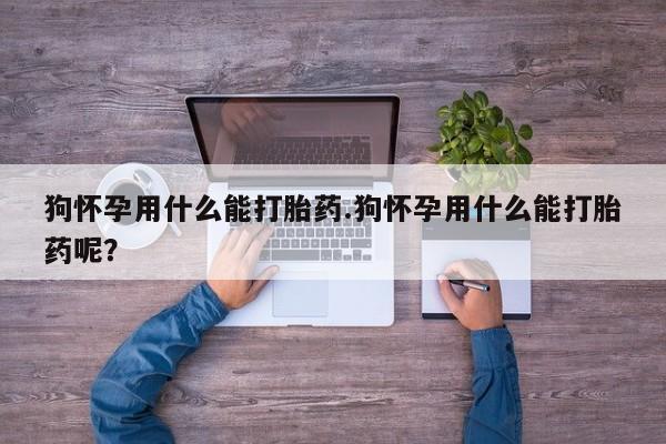 打胎药网上购买狗怀孕用什么能打胎药.狗怀孕用什么能打胎药呢？