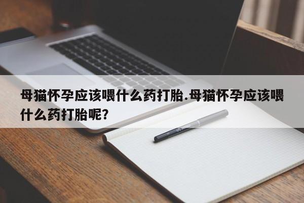 打胎药网上购买母猫怀孕应该喂什么药打胎.母猫怀孕应该喂什么药打胎呢？