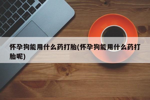 打胎药网上购买怀孕狗能用什么药打胎(怀孕狗能用什么药打胎呢)